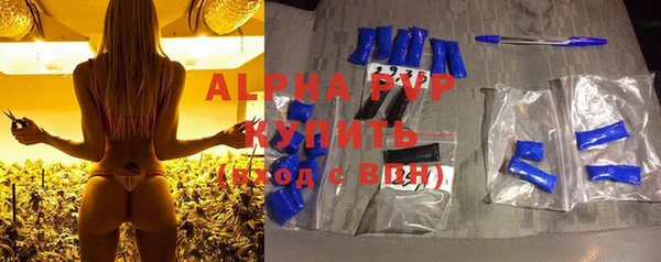 PSILOCYBIN Бронницы