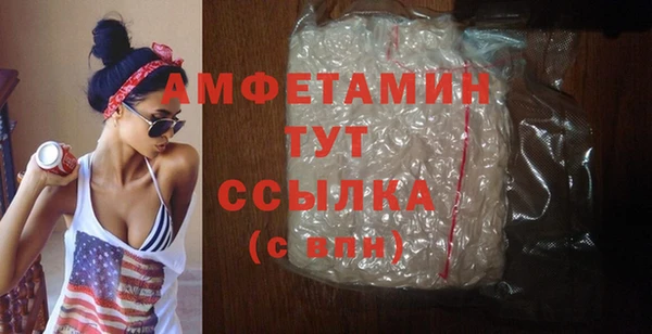 твердый Бородино