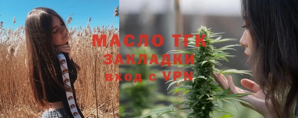 твердый Бородино