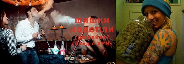 PSILOCYBIN Бронницы