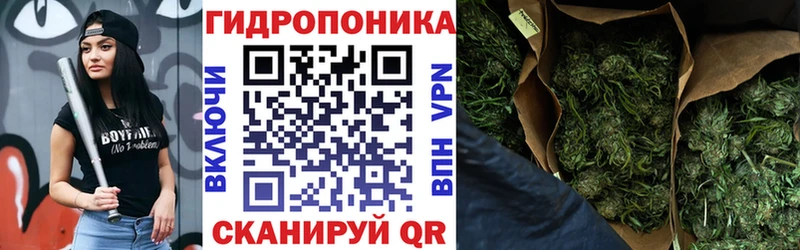 купить  цена  Кола  KRAKEN маркетплейс  Марихуана индика 